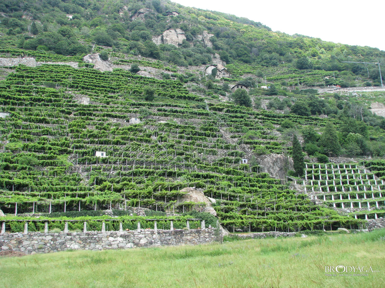Aosta